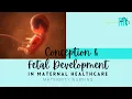 Conception Fetal Development Maternity Nursing FREE Study Guide