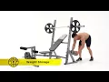Banco de peso olimpico Gold s Gym XR 10 1