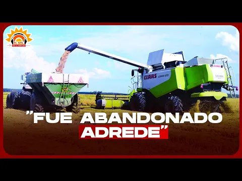 CARLOS SEGURA FOSTER ¿QUÉ PASA EN LA CRUZ DEL MANZANILLO