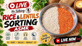 Live 🔴 ASMR Satisfying Black Red