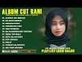 Download Lagu LUMPUR DAN BERLIAN - CUT RANI FULL ALBUM 2025 (LIRIK) SALAHMU SENDIRI - LAGU POP MELAYU TERBARU 2025