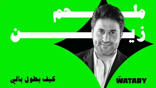                                                        ملحم زين   كيف بطول بالي دندنها