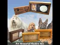Memorial Shadow Boxes for your pet