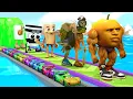 Long Slide Game With Cow Elephant Gorilla Hippopotamus Tiger 3d Animal Game Funny 3d Animals