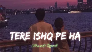 tere ishq pe ha haq lofi slowed reverb arijit singh lofilover686
