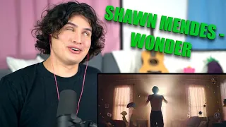 Download Vocal Coach Reacts to Shawn Mendes - Wonder MP3