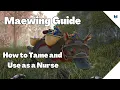 Maewing Guide - How to Tame and Use As a Baby Nurse
