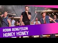 Lagu Robin Bengtsson - Honey Honey