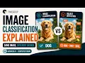 Image Classification Explained How AI Learns to See Computer Vision Guide