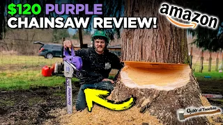 Is this 120 Chainsaw Better than Stihl