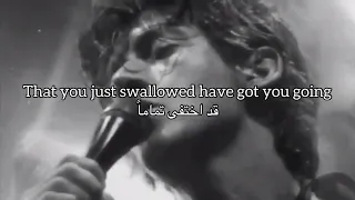                                    مترجمة دندنها