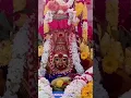 Download Lagu 🙏🏻Suyambu Bathrakali Amman masi mayana kollai 2025🔥🔥