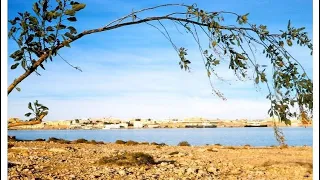  موج البحر خط ر على بلادي  رمزي شهوب   دندنها
