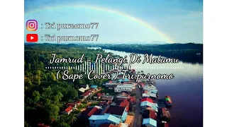 Download Jamrud - Pelangi Di Matamu ( Sape' Cover ) Tri purnomo MP3