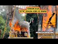 Download Lagu PROSESI B4K4R J3N4Z4H DI BALI || Pelebon / Nngaben Ubud Januari 2023