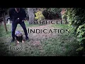 Article Search Training - Article Indication