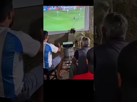 Argentina vs España: