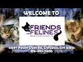 Friends of Felines Rescue Center FFRC