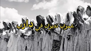 يا عمري ونديرك في داري 