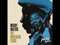 Mannish Boy (Live - Montreux Jazz Festival 1974)