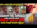 Download Lagu 🛑💥 మూడు గంటల్లో మా మందిరం కట్టేస్తాము |🚨 Red Heifer గురుంచిన ప్రచారాల మీద యూదా రబ్బీ సీరియస్ |