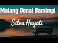 Lagu Silva Hayati - Malang Denai Bamimpi - Remix Minang Version