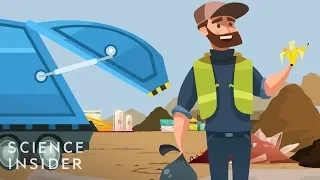 How Long Does Your Garbage Take To Decompose