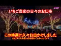 Lagu この時期に久々お出かけしました（クリスマスの思い出も作れてよかったです）　いちご農家の日々のお仕事　＃１３５７