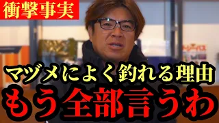 マヅメが釣れる理由【村岡昌憲】