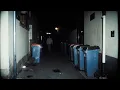 Who was the Mr Cruel of Melbourne The Masked Predator of Australia