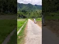 Download Lagu Riding through the rice fields in Indonesia - Samosir Island, Sumatra