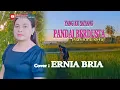 Download Lagu KAU YANG KUSAYANG PANDAI BERDUSTA(Marina Elsera)Cover ERNIA BRIA -Studio DONBERS MALAKA Chanel (SDM)