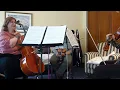 Schumann Op 41/3 - 1. Andante espressivo, Allegro molto moderato