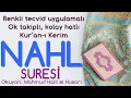 Download Lagu Nahl Suresi | Renkli tecvid uygulama takipli, kolay okunuşlu | ᴴᴰ | Mahmud Halil el Husari