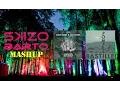 Download Lagu John Dish \u0026 Ale Mora vs. Bastille - Pompeii Flamme (SKIZO \u0026 BARTO Mashup)