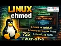 Linux chmod Command Explained File Permissions in Linux with Examples Beginner to Advanced