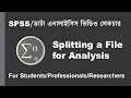 SPSS Bangla Tutorial How to Split a File for Analysis