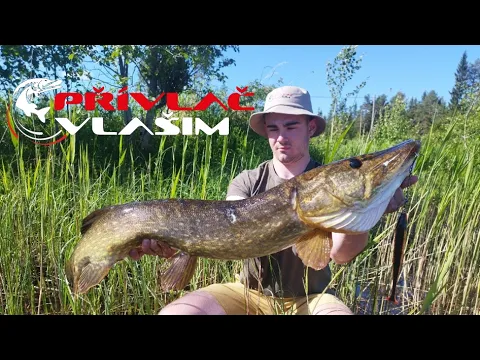 Letošní výprava do Švédska