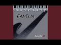 Download Lagu Camelia (Rhoma Irama)
