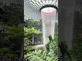 The Jewel, connected to Singapore Changi airport, is absolutely breathtaking