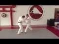 Yoseikan Ju-Jutsu - Harai Goshi