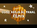 Juan Luis Guerra 4.40 - Como Abeja Al Panal (Natax Beat Remix) 