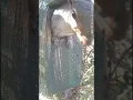 Squirrels sleep 15 hours a day