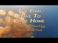 Download Lagu THE FISH HAVE TO COME HOME—12 minutes