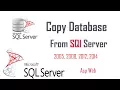how to copy database in sql server 2012
