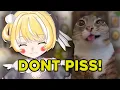 Download Lagu You Have To Try Harder For Inis...