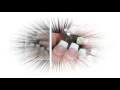 Le Nails Salon and Spa 16950 E Iliff Avenue Unit F1 Aurora CO 80013 1719