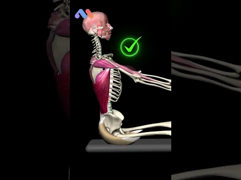 Maximize Your Back Workout and Avoid This Common Mistake