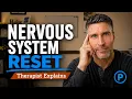 Therapist s 10 Best Nervous System Regulation Tools