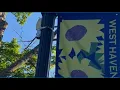 Investigation Underway on West Haven Green